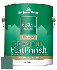 Benjamin Moore W105 Regal Select Exterior Paint-MoorLife Flat Finish краска цвет 2050-30 Newport Green