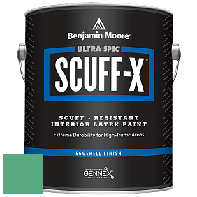 Benjamin Moore 485 Ultra Spec SCUFF-X Interior Eggshell Finish краска цвет NCS S 2050-G 