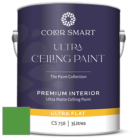 COLOR SMART CS 758 ULTRA CEILING PAINT ультраматовая краска цвет 2033-20 Peppermint Leaf