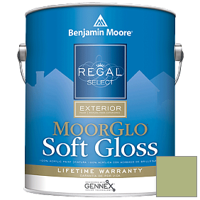 Краска Regal Select Exterior Paint-Moor GloSoft Gloss Finish (W096) цвет 543 Woodland Hills Green