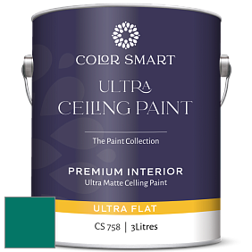 COLOR SMART CS 758 ULTRA CEILING PAINT ультраматовая краска цвет 2048-20 Juniper