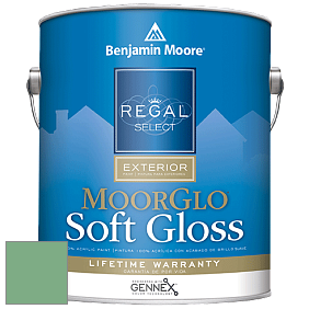 Benjamin Moore W096 Regal Select Exterior Paint-Moor GloSoft Gloss Finish краска цвет 2035-40 Stokes Forest Green