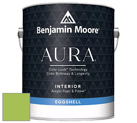 Benjamin Moore Aura 524 Waterborne Interior Eggshell Finish краска цвет 419 Malachy Green