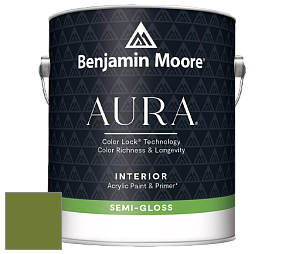 Benjamin Moore Aura 528 Waterborne Interior Semi-gloss Finish краска цвет NCS S 3560-G40Y 