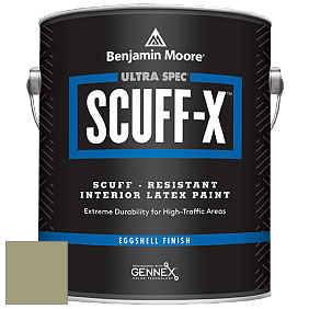 Benjamin Moore 485 Ultra Spec SCUFF-X Interior Eggshell Finish краска цвет AF-405 