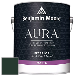 Benjamin Moore Aura 522 Interior Paint - Matte краска цвет RAL 6009 
