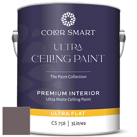 COLOR SMART CS 758 ULTRA CEILING PAINT ультраматовая краска цвет 2115-30 Amazon Soil