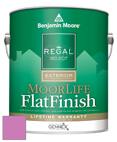 Benjamin Moore W105 Regal Select Exterior Paint-MoorLife Flat Finish краска цвет 2077-40 Spring Azalea