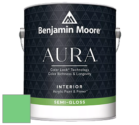 Benjamin Moore Aura 528 Waterborne Interior Semi-gloss Finish краска цвет NCS S 0560-G10Y 