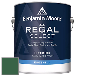 Benjamin Moore 549 Regal Select Waterborne Interior Eggshell Finish краска цвет 2040-10 Rainforest Foliage