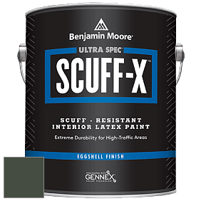 Benjamin Moore 485 Ultra Spec SCUFF-X Interior Eggshell Finish краска цвет NCS S 8010-G30Y 