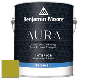 Benjamin Moore Aura 524 Waterborne Interior Eggshell Finish краска цвет NCS S 2070-G60Y 