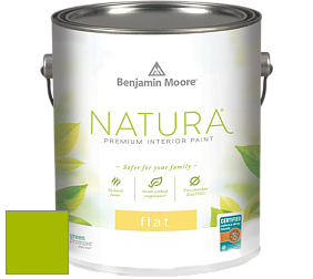 Benjamin Moore 512 Natura Interior Flat Finish матовая краска цвет 2026-10 Lime Green