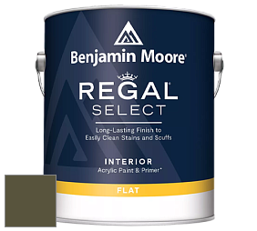 Benjamin Moore 547 Regal Select Waterborne Interior Flat Finish краска цвет NCS S 7020-G70Y 