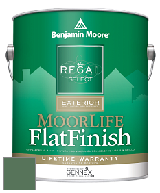 Benjamin Moore W105 Regal Select Exterior Paint-MoorLife Flat Finish краска цвет 567 Balsam