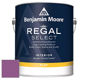 Benjamin Moore 547 Regal Select Waterborne Interior Flat Finish краска цвет NCS S 3050-R40B 