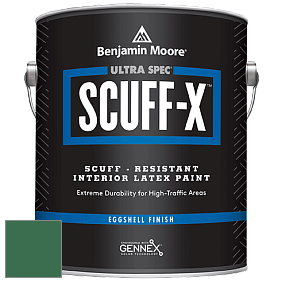 Benjamin Moore 485 Ultra Spec SCUFF-X Interior Eggshell Finish краска цвет 2040-20 Green Meadows