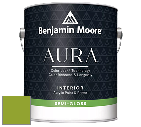 Benjamin Moore Aura 528 Waterborne Interior Semi-gloss Finish краска цвет 2028-20 Douglas Fir