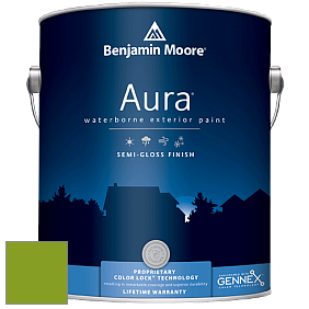 Benjamin Moore Aura 632 Waterborne Exterior Semi-Gloss Finish краска цвет 2028-10 Iguana Green