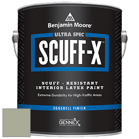 Benjamin Moore 485 Ultra Spec SCUFF-X Interior Eggshell Finish краска цвет NCS S 3010-G50Y 