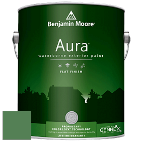 Benjamin Moore Aura 629 Waterborne Exterior Flat Finish краска цвет 2036-20 Irish Moss