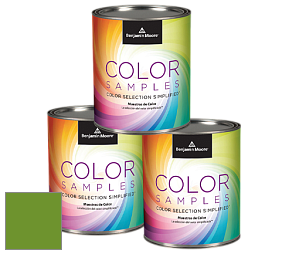 Benjamin Moore 127 Color Samples 0,465 л краска-пробник цвет 2029-10 Basil Green