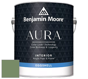 Benjamin Moore Aura 524 Waterborne Interior Eggshell Finish краска цвет NCS S 4030-G30Y 