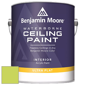 Benjamin Moore 508 Waterborne Ceiling Paint краска для потолков цвет NCS S 0560-G50Y 