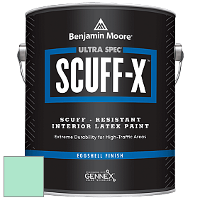Benjamin Moore 485 Ultra Spec SCUFF-X Interior Eggshell Finish краска цвет NCS S 0530-B90G 