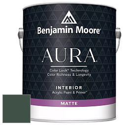 Benjamin Moore Aura 522 Interior Paint - Matte краска цвет 2041-10 Hunter Green