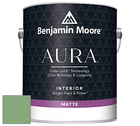 Benjamin Moore Aura 522 Interior Paint - Matte краска цвет 565 Aurora Borealis