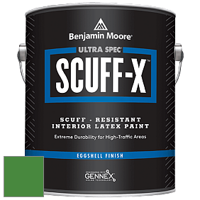 Benjamin Moore 485 Ultra Spec SCUFF-X Interior Eggshell Finish краска цвет NCS S 2570-G20Y 