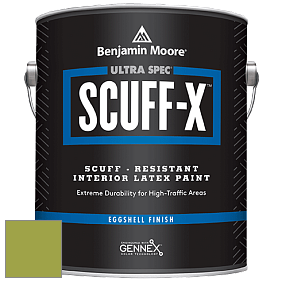 Benjamin Moore 485 Ultra Spec SCUFF-X Interior Eggshell Finish краска цвет NCS S 2060-G50Y 