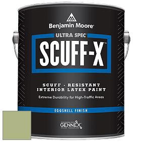 Benjamin Moore 485 Ultra Spec SCUFF-X Interior Eggshell Finish краска цвет NCS S 2030-G40Y 