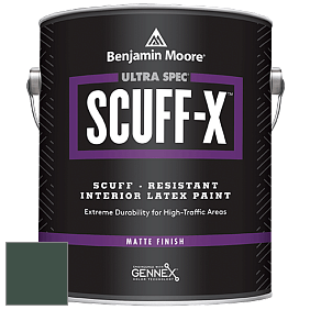 Benjamin Moore 484 Ultra Spec SCUFF-X Interior Matte Finish краска цвет 2041-10 Hunter Green