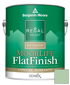 Краска Regal Select Exterior Paint-MoorLife Flat Finish (W105) цвет 563 Douglas Fern