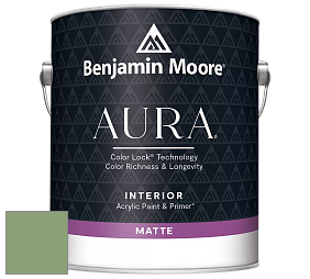 Benjamin Moore Aura 522 Interior Paint - Matte краска цвет NCS S 3030-G30Y 