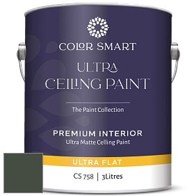 COLOR SMART CS 758 ULTRA CEILING PAINT ультраматовая краска цвет NCS S 8010-G30Y 