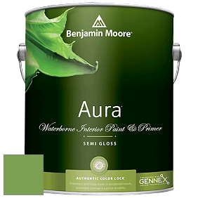 Benjamin Moore Aura 528 Waterborne Interior Semi-gloss Finish краска цвет NCS S 2060-G30Y 