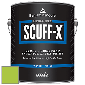 Benjamin Moore 485 Ultra Spec SCUFF-X Interior Eggshell Finish краска цвет NCS S 0570-G40Y 