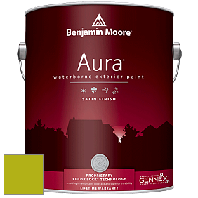 Benjamin Moore Aura 631 Waterborne Exterior Satin Finish краска цвет 2027-20 Spring Moss