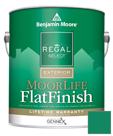 Краска Regal Select Exterior Paint-MoorLife Flat Finish (W105) цвет 2044-20 Leprechaun