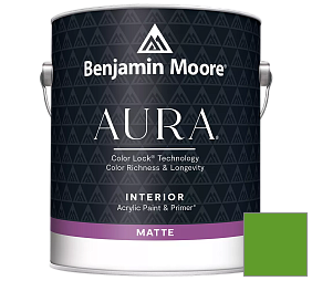 Краска Benjamin Moore Aura Interior Paint - Matte (522) цвет 2030-10 Lizard Green