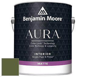 Benjamin Moore Aura 522 Interior Paint - Matte краска цвет NCS S 5540-G40Y 