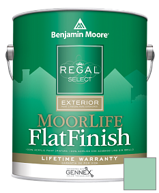 Краска Regal Select Exterior Paint-MoorLife Flat Finish (W105) цвет 585 Lady Liberty