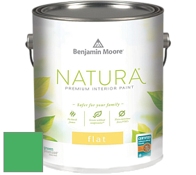 Benjamin Moore 512 Natura Interior Flat Finish матовая краска цвет NCS S 1070-G10Y 