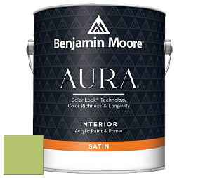 Benjamin Moore Aura 526 Waterborne Interior Satin Finish покрытие цвет 2029-40 Stem Green