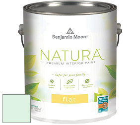 Benjamin Moore 512 Natura Interior Flat Finish матовая краска цвет 2037-70 Fresh Mint