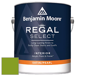 Benjamin Moore 550 Regal Select Waterborne Interior Pearl Finish краска цвет 2028-10 Iguana Green