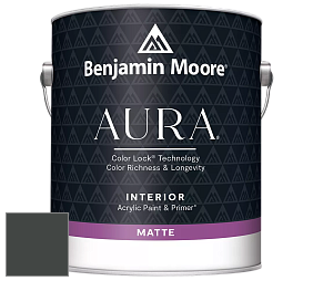 Benjamin Moore Aura 522 Interior Paint - Matte краска цвет NCS S 8502-G 